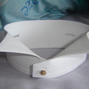 Detachable Collar - different types of collars